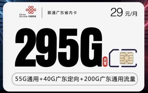 广东能线上申请的手机流量卡套餐:29元295G流量