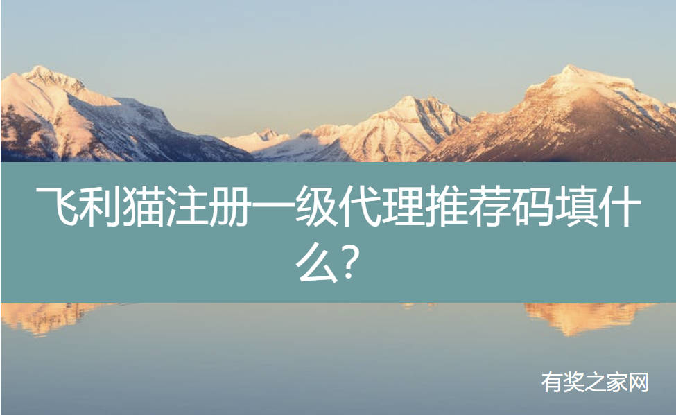 飞利猫注册一级代理推荐码填什么？