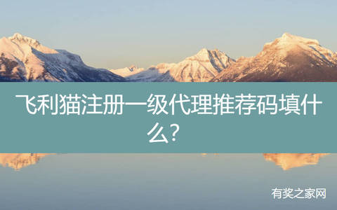飞利猫注册一级代理推荐码填什么？