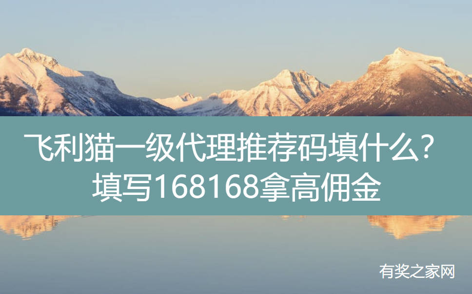 注册飞利猫一级代理推荐码填什么？填写168168拿高佣金