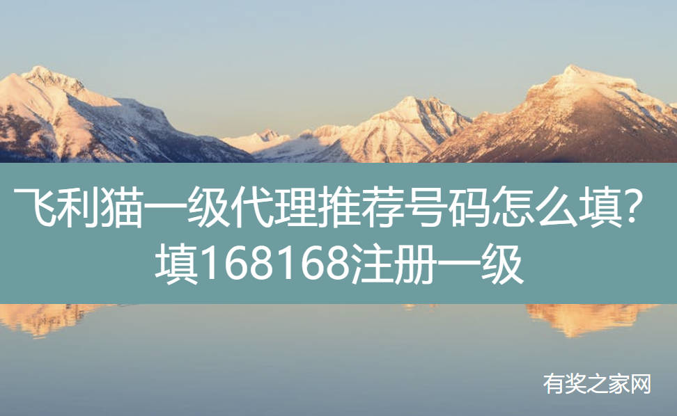 飞利猫一级代理推荐号码怎么填写？填168168注册一级
