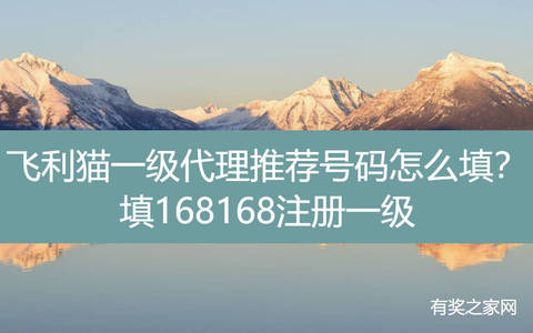 飞利猫一级代理推荐号码怎么填写？填168168注册一级