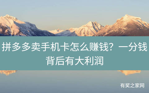 拼多多卖手机卡怎么赚钱？一分钱背后有大利润