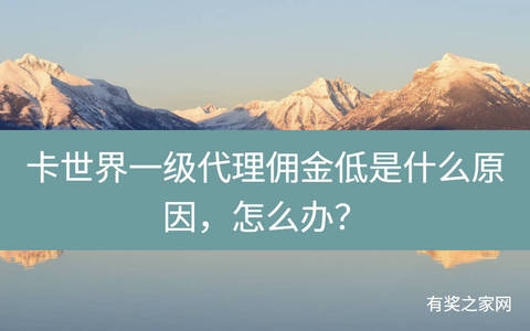 卡世界一级代理佣金低是什么原因，怎么办？