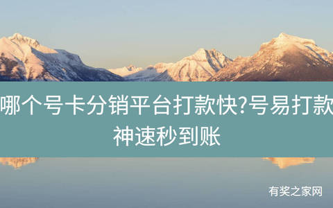哪个号卡分销平台打款快?号易打款神速秒到账