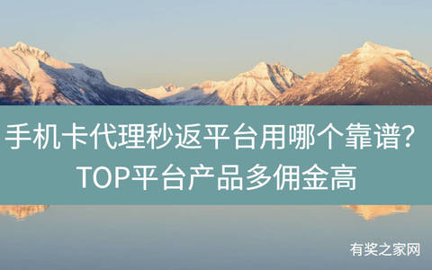 手机卡代理秒返平台用哪个靠谱？TOP平台产品多佣金高