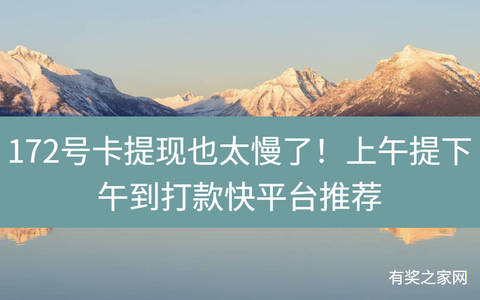 172号卡提现也太慢了！上午提下午到打款快平台推荐