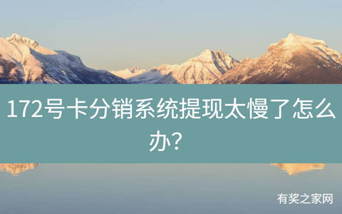 172号卡分销系统提现太慢了怎么办？