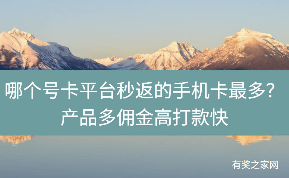 哪个号卡平台秒返的手机卡最多?产品多佣金高打款快