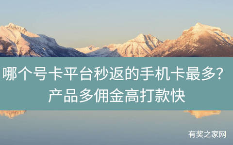 哪个号卡平台秒返的手机卡最多？产品多佣金高打款快