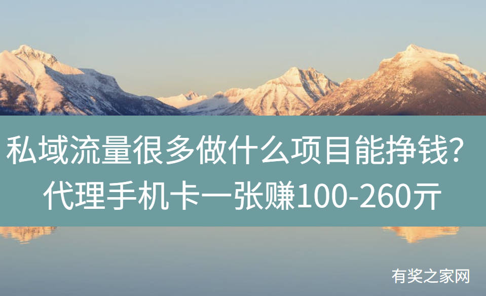 私域流量很多做什么项目能挣钱？代理手机卡一张赚100-260亓