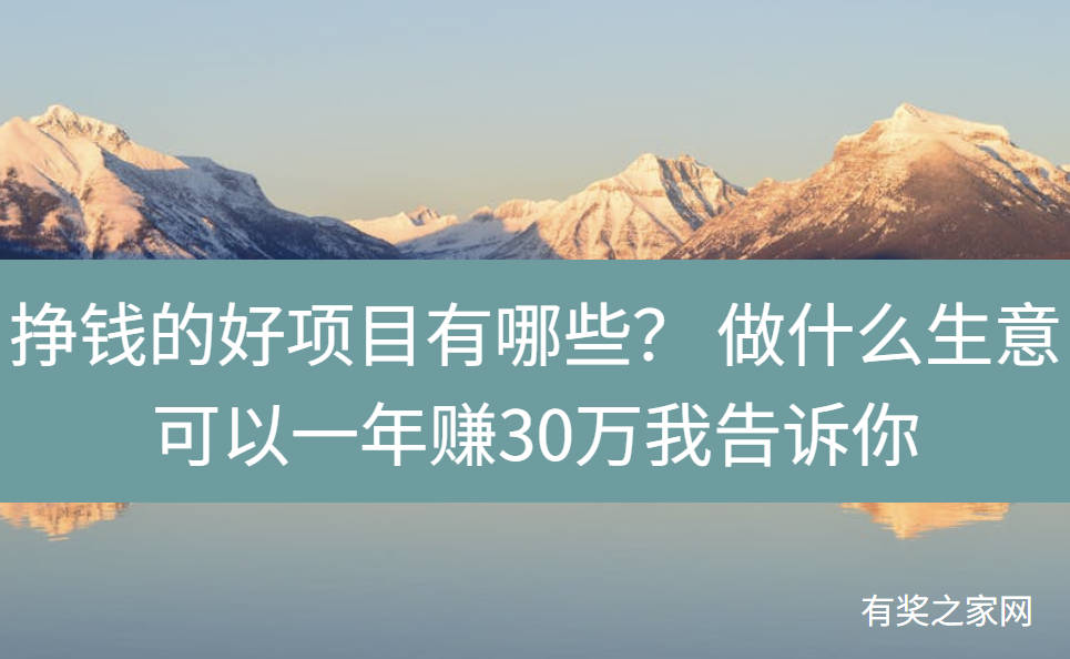 挣钱的好项目有哪些？ 做什么生意可以一年赚30万我告诉你