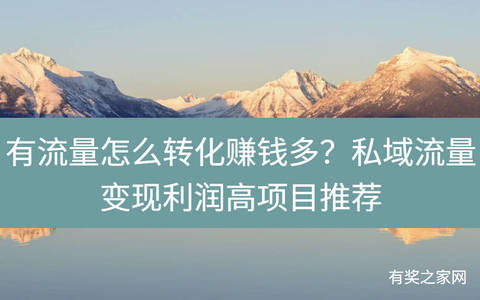有流量怎么转化赚钱多？私域流量变现利润高项目推荐