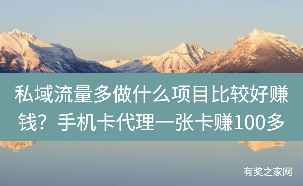 私域流量多做什么项目比较好赚钱?手机卡代理无成本一张卡赚100多