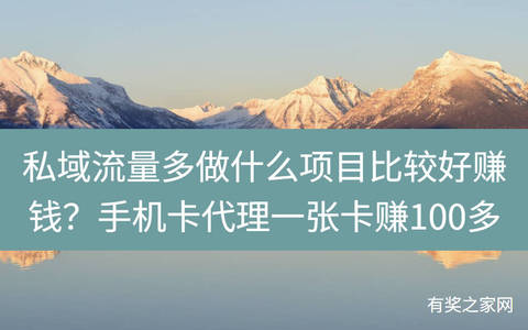 私域流量多做什么项目比较好赚钱？手机卡代理无成本一张卡赚100多