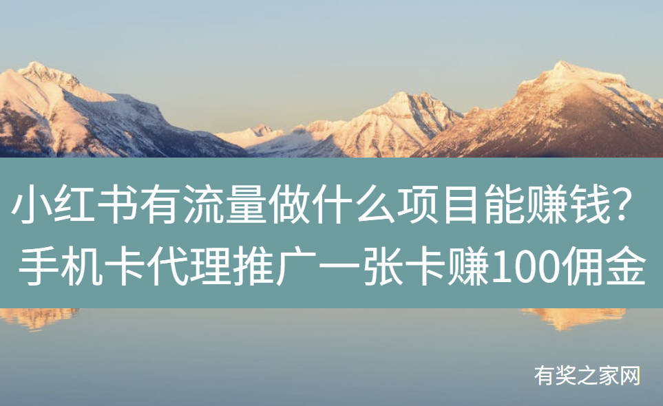 小红书有流量做什么项目能赚钱？手机卡代理推广一张卡赚100多佣金