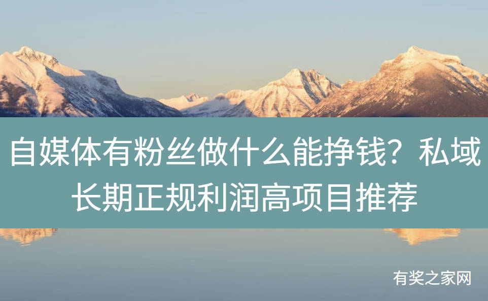 自媒体有粉丝做什么能挣钱？私域长期正规利润高项目推荐