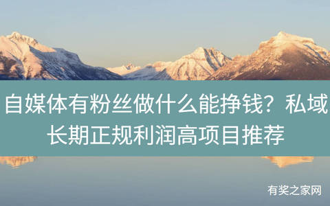 自媒体有粉丝做什么能挣钱？私域长期正规利润高项目推荐